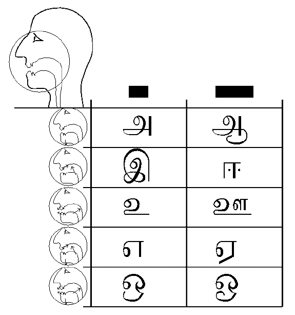 Tamil Phonetic Chart